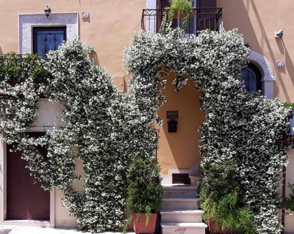 B&B Il Principe Palo del Colle ภายนอก รูปภาพ